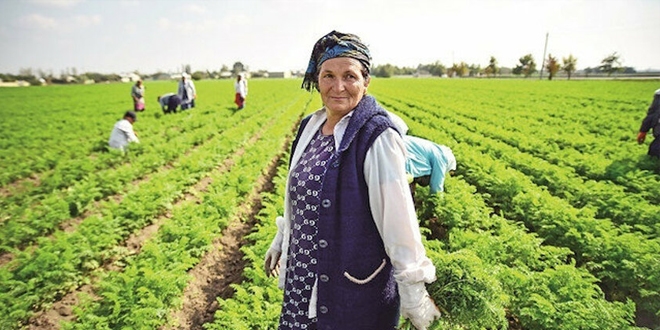 Karabağ'da 28 yıllık nadas bitiyor