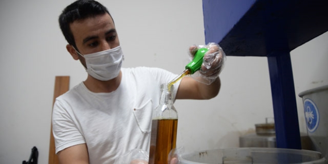 Koronavir�s sonras� ��rek otu ya��na talep artt�