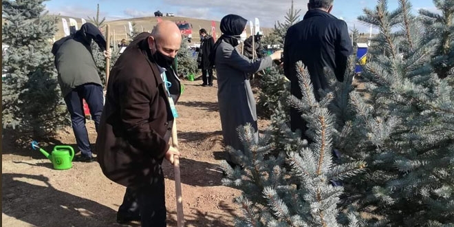 Orman Mühendisleri Odası'ndan ağaçlandırma çalışmalarına ilişkin açıklama