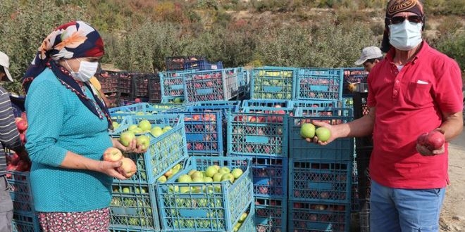 Bu mahalledeki üreticilerin büyük kısmı üniversite mezunu