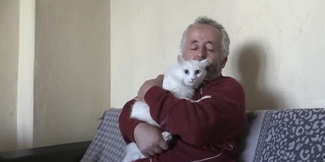 Van kedisini sahiplenmek için Çin'den Türkiye'ye geldi