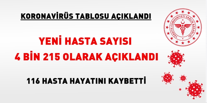 Yeni hasta sayısı 4 bin 200'ü geçti