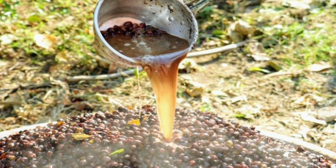 Binbir zahmetle yap�l�yor; litresi 100 TL'ye sat�l�yor