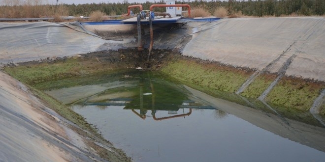 Havuza d��en genci kurtaran a�abeyi ve arkada�� bo�uldu