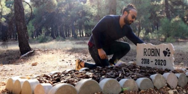 Ölen köpeğine kampüste mezar yaptırdı