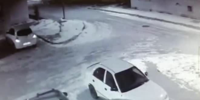 Mahalleye inen bozayıların yiyecek arayışı güvenlik kamerasında