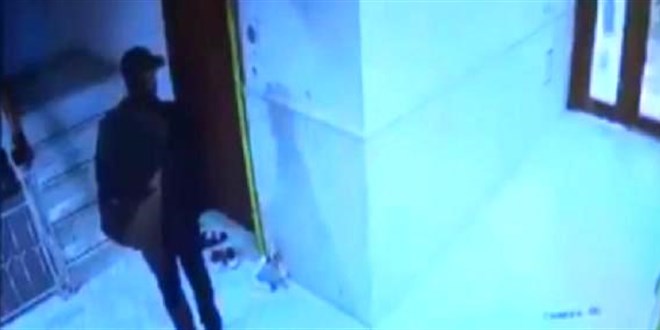 Sahte polise 224 bin TL kaptırdı