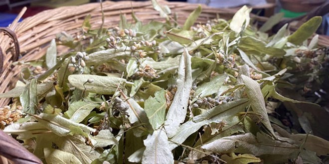 Havalar so�udu, �hlamurun fiyat� u�tu