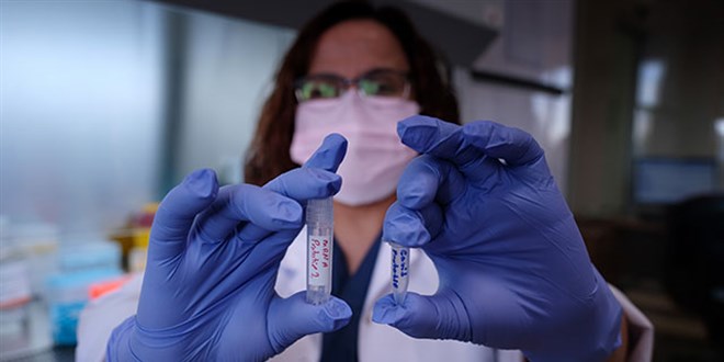 Pfizer'in aşısıyla aynı özellikteki yerli aşı deney aşamasında