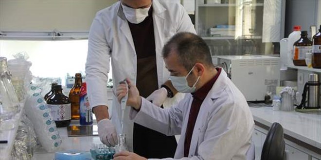 Öğretim üyesi, yeni bir toprak bakterisi keşfetti