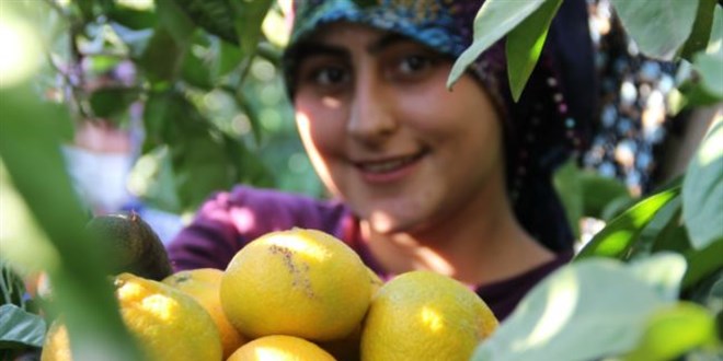 Dalında 1,5 lira, markette 8 lira