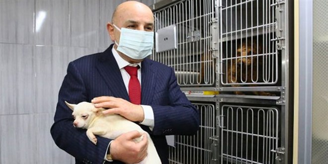 Ankara'da el konulan 77 köpeği sahiplenmek için rekor başvuru