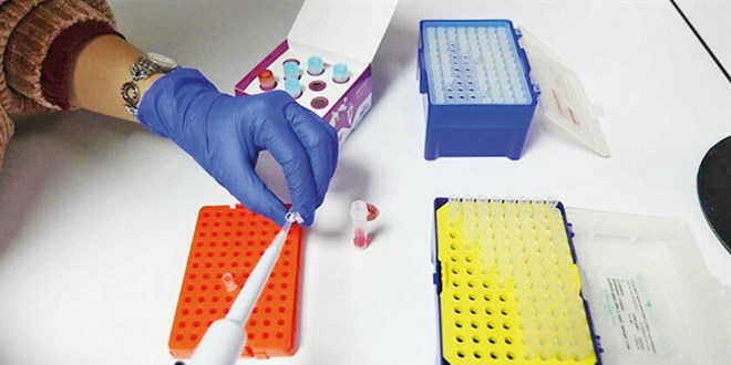 Protein temelli aşı için çalışıyorlar: Ekonomiye büyük katkı verir