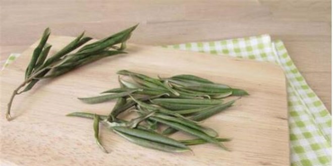 Koronayla m�cadelede do�al antibiyotik; G�nde 3 kez t�ketilebilir