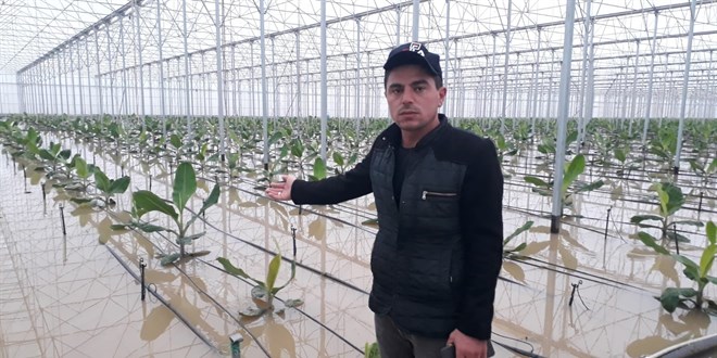 Antalya'da sel 9 bin 530 dekar ekili alana zarar verdi