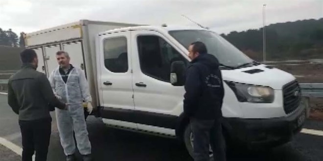 İBB ekipleri, sokak köpeklerini Gebze'ye bırakırken yakalandı