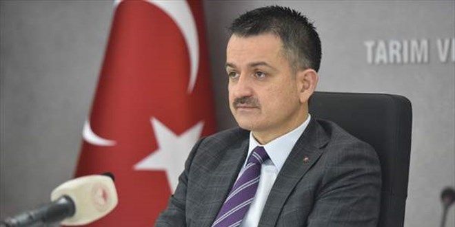 Bakan Pakdemirli: Tıbbi bitkilerin yüzde 6'sı ülkemizde
