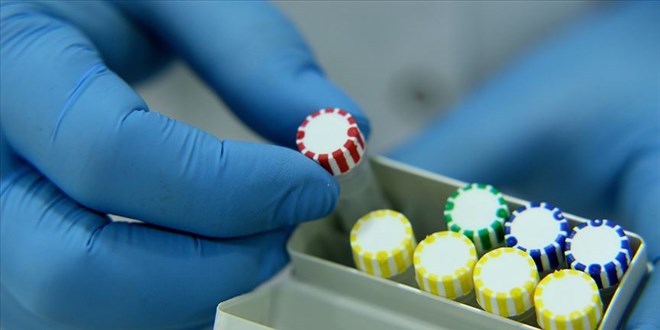 Virüs tanı kitlerinin internetten satışına erişim engeli getirildi