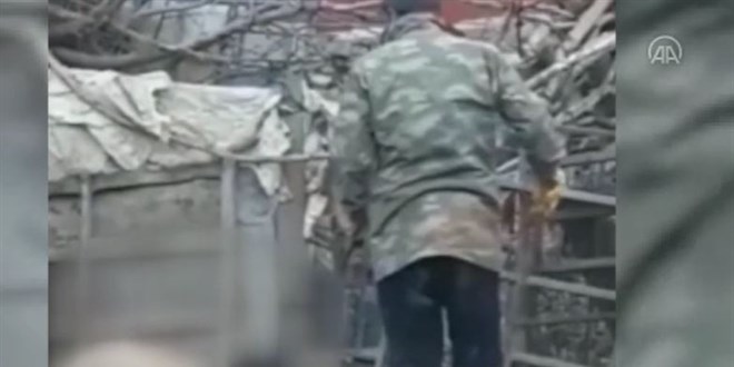 Vicdansız şahıs köpeği sopayla döverken görüntülendi