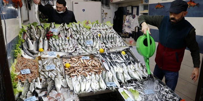 'Denizlerin prensi' lüferin kilosu 100 liraya düştü