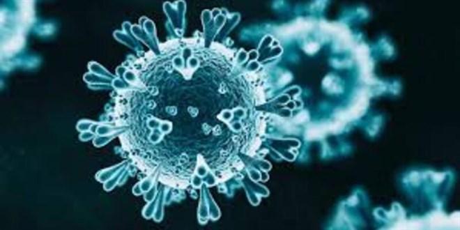 DS'den uyar: Koronavirs son pandemi olmayacak
