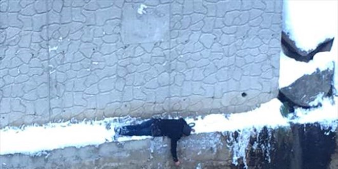 Gümüşhane'de Harşit Çayı'na düşen köpeği kurtaran genç o anları anlattı