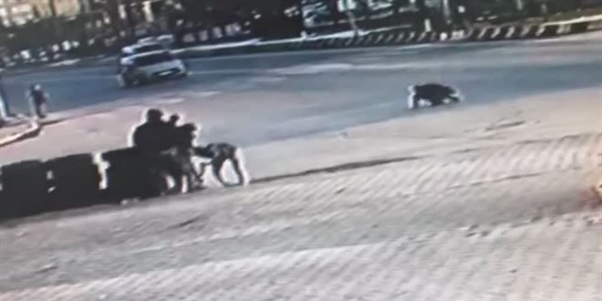 Muş'ta bir kişinin öldüğü kavga güvenlik kamerasına yansıdı