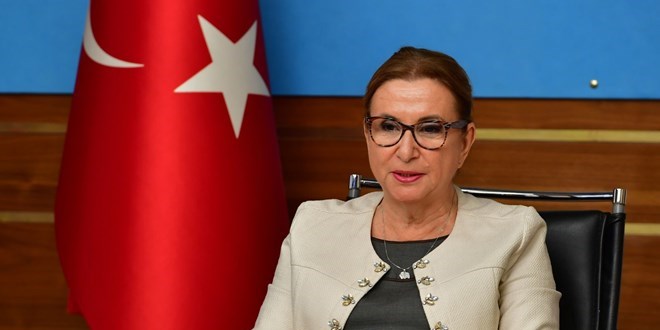 Türkiye ile İngiltere arasında serbest ticaret anlaşması imzalandı