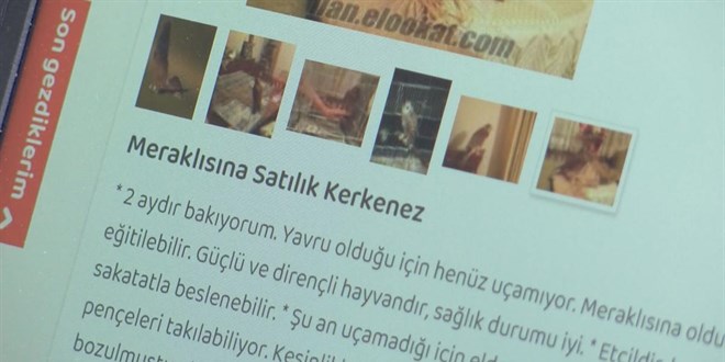 İnternette satıp, otobüsle Türkiye'nin her yerine yolluyorlar