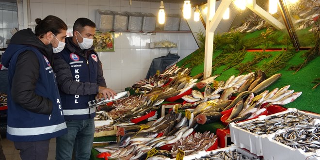 Yediği balon balığından zehirlenen kişi hayatını kaybetti