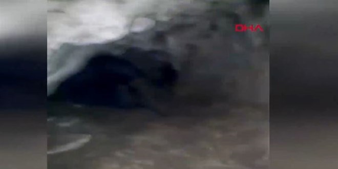 Mağaradaki 'esrarengiz varlığı' görünce korkuya kapıldılar