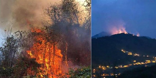 4 ilde, 23 noktada yangın; ekipler müdahale ediyor