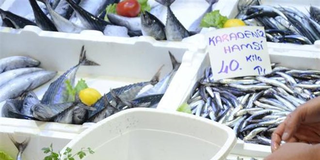 Hamsinin kilosu 40 liraya çıktı