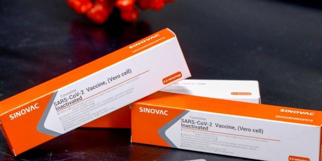 Sinovac'tan aşının etkinlik oranına dair açıklama