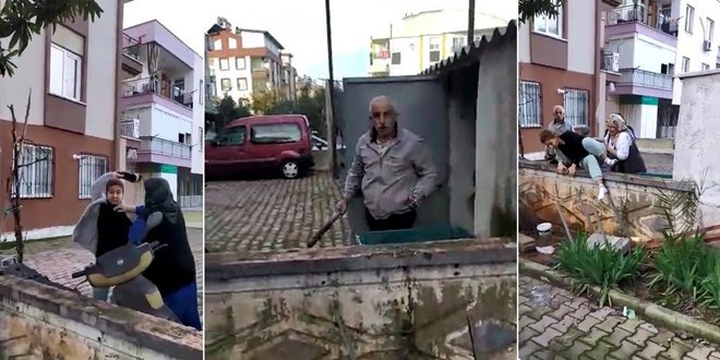 Sokak hayvanlarını besleyen üniversite öğrencisine saldırı