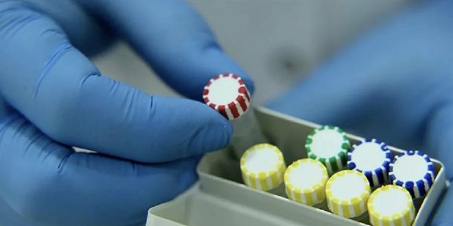 Bilim insanları koronavirüsün yeni antikorlarını tespit etti