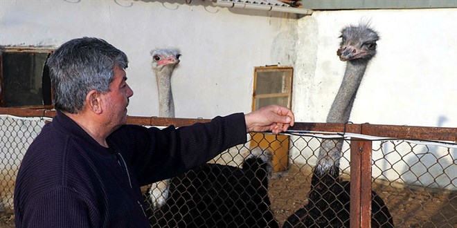 Hobi olarak başladı şimdi şirketi var! Siparişlere yetişemiyor