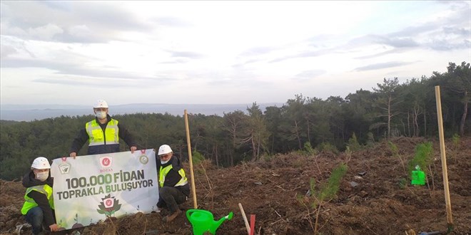 BOTAŞ, 100 bin fidan dikecek