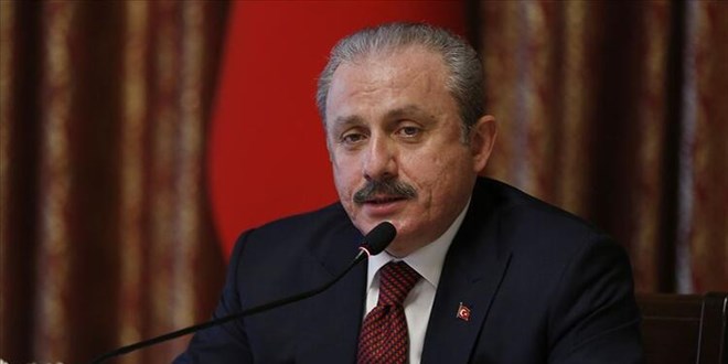 Şentop: Bu sistemde tarafsız cumhurbaşkanı yoktur