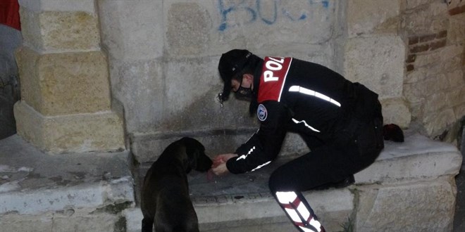 Polis ekipleri, eksi 10 derecede sokak hayvanlarını unutmadı