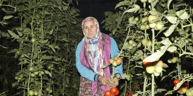 Hava sıcaklığı -1'e düştü: Nöbet başladı