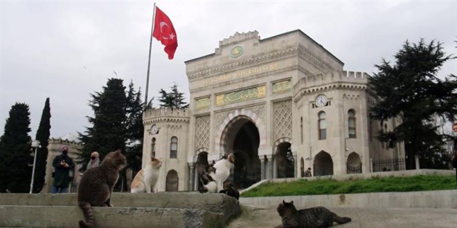 Kedi sevgisi öğrencileri 40 bin TL borca soktu