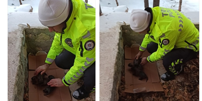 Polis memurunun yavru köpek hassasiyeti yürekleri ısıttı