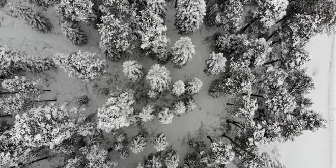Anadolu'nun yüce dağı Ilgaz'da kar manzaraları