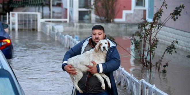 Kırklareli'nde dereler taştı, ev ve iş yerlerini su bastı