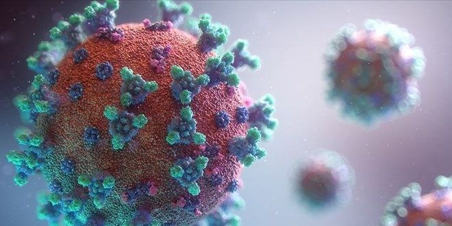 İngiltere'deki mutasyon virüsün de mutasyona uğradığı açıklandı
