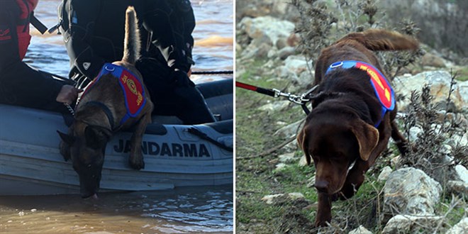 Türkiye'nin ilk suda kadavra arama köpekleri ilkleri başardı