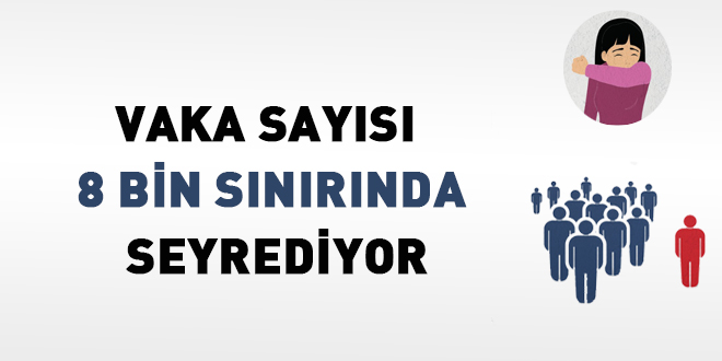 Vaka sayısı 8 bin sınırında seyrediyor
