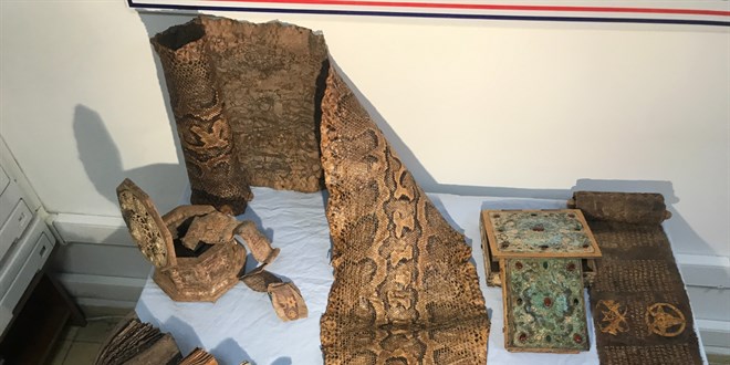 Şanlıurfa'da, Orta Çağ'dan kalma piton derisi ele geçirildi