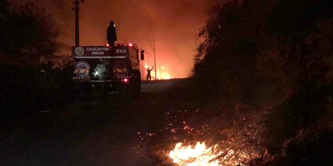 Kastamonu'nun Abana ilçesinde çıkan yangın kontrol altına alındı